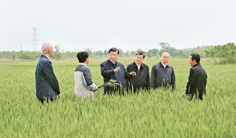 2023年5月11日至12日，中共中央總書(shū)記、國家主席、中央軍委主席習近平在河北考察，并主持召開(kāi)深入推進(jìn)京津冀協(xié)同發(fā)展座談會(huì )。這是11日上午，習近平在滄州市黃驊市舊城鎮仙莊片區旱堿地麥田考察時(shí)，同種植戶(hù)、農技專(zhuān)家親切交流。 新華社記者 李學(xué)仁/攝
